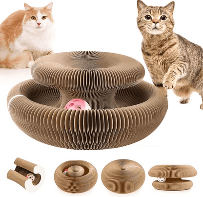 🐱Magic Foldable Scratcher & Cat Bed🛌 - Buy 2 & Save 20% - ONLY TODAY