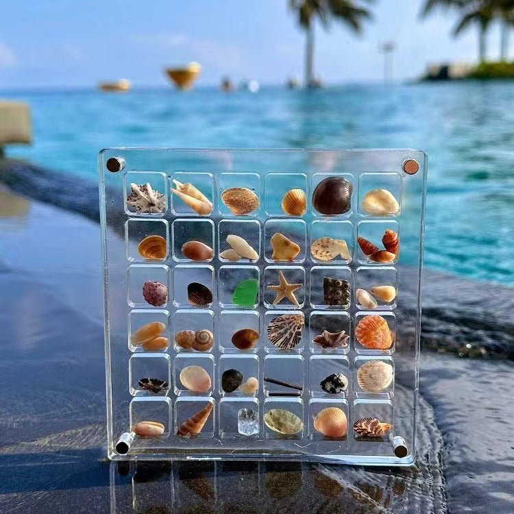 🎄Last Day 50% OFF - Acrylic Magnetic Seashell Display Box