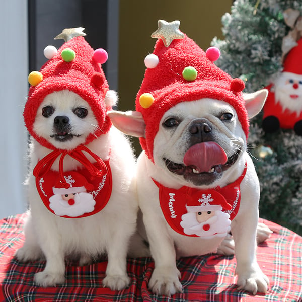 🎅Christmas Sale 49% OFF🎄🔥 Adorable Christmas Tree Pom-Pom Hat🎁